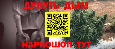 крисы Обь